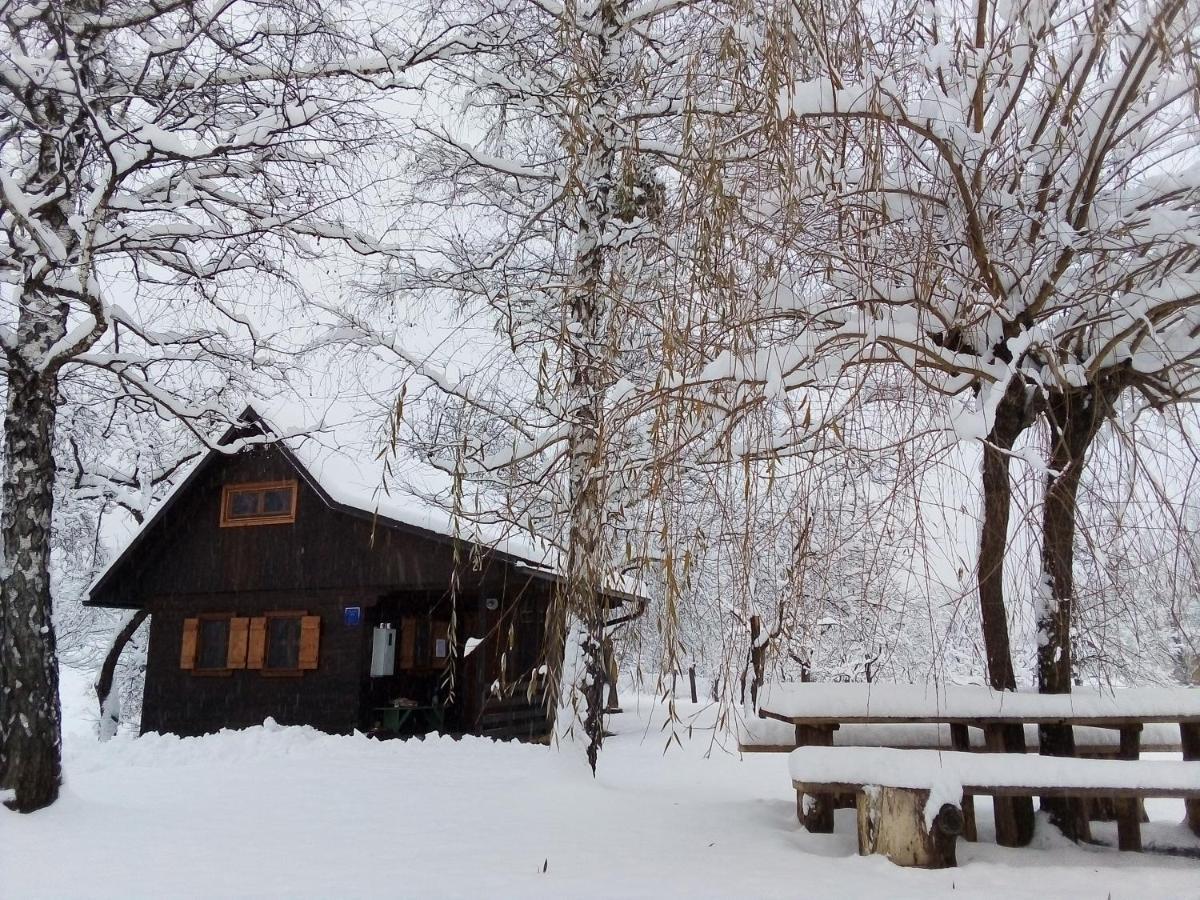 Kuca Za Odmor Cindric Villa Slunj Dış mekan fotoğraf