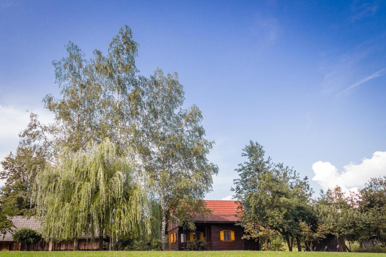 Kuca Za Odmor Cindric Villa Slunj Dış mekan fotoğraf